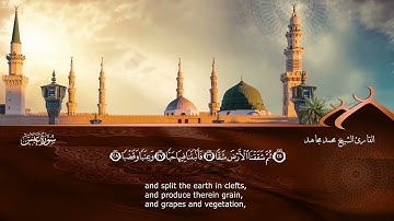 الشيخ محمد مجاهد -سوره عبس-(مرتل)