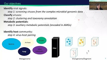 2022 EMSL Summer School Day 4: Detecting viral signals from metagenomics