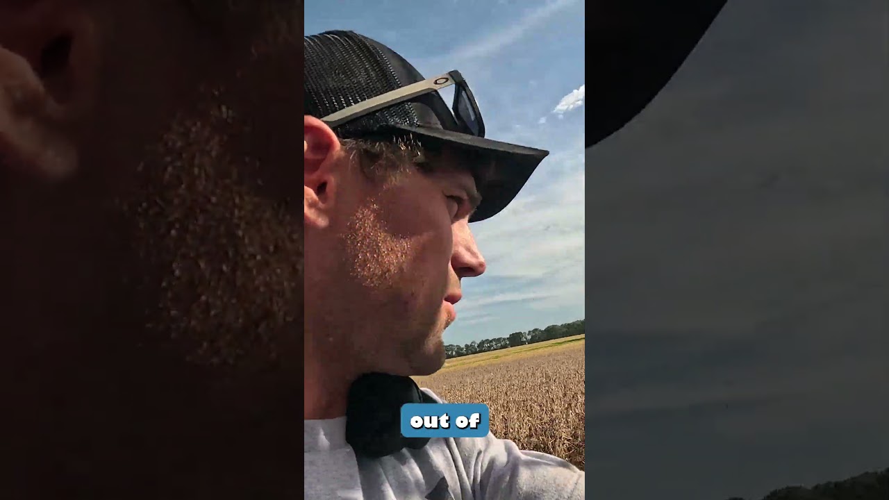 First Field Problems