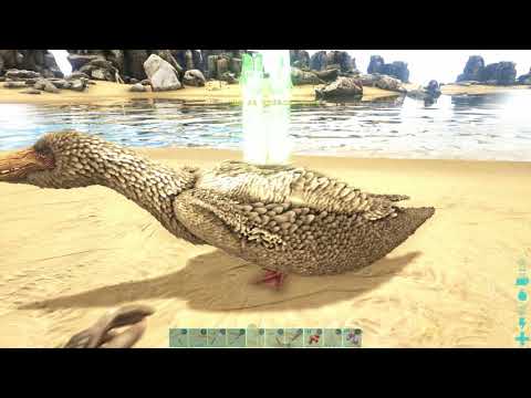 Ark プテラノドンのテイム方法とステ振り