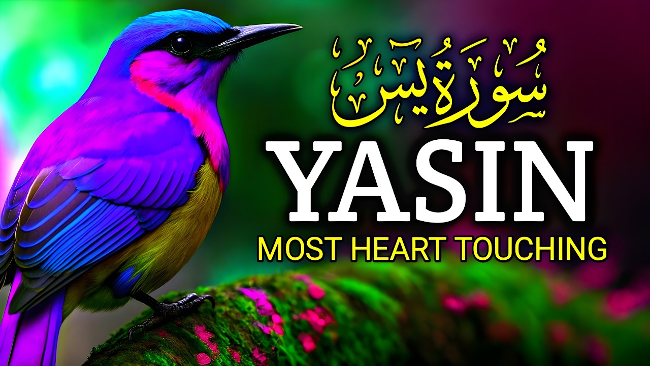 Soulful Recitation to Heal Your Heart: Surah Yasin (Very Emotional) | Zain Abu Kautsar