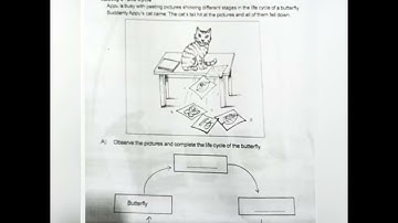 SCERT SECOND TERM EXAMINATION MODEL QUESTION PAPER OF EVS OF CLASS 3