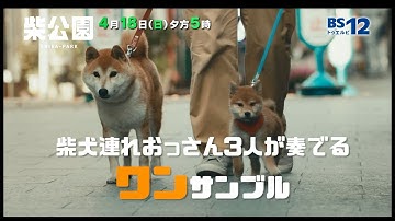 映画 劇場版「柴公園」｜BS12