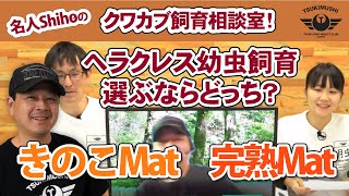 『ヘラクレスの幼虫飼育におすすめの発酵マット　きのこMat、完熟Matどちらでしょうか？』名人Shihoのクワカブ飼育相談室