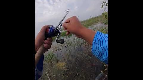 câu lure trên ruộng bỏ hoang và cái kết