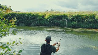 Centerpin Trotting A Lesson From The Master