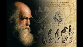 فيلم وثائقي #نظرية التطور  فكرة داروين الخطيرة ناشيونال جيوغرافيك HD national geographic