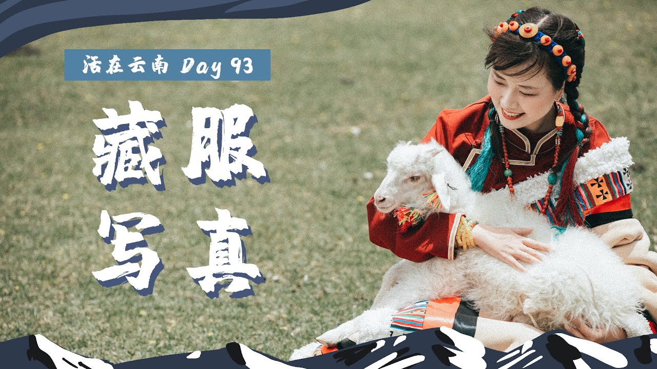 【活在云南】Day93｜香格里拉“藏服写真”体验，在草原抱小羊超治愈！