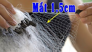 Lưới Đánh Cá Mương,Tép Nhỏ Bằng Đầu Đũa | Cao 70cm dài 55m mắt 1,5cm giá 250k/1
