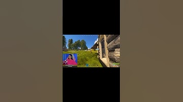 Дорогой дневник… RUST ❤️ РАСТ #music #rust #virust #gaming #shorts