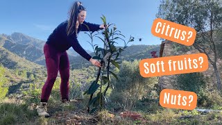 Which trees are we planting? | Food Forest in Spain | Off grid Abandoned Land