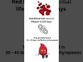 what's thalassemia???