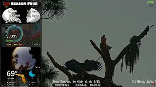 🦅Yesterday at SuperBeaks | Mar 10, 2026 - Oh Fludge!👀Zeagle has fledged the nest! Sound boosted📢