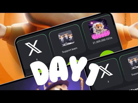 Day 1, Hamster