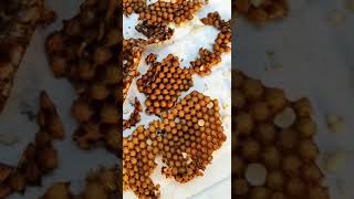 🐝 Material Apícola - TRATAMIENTO PARA LA VARROA - 100% libre de químicos y toxinas.