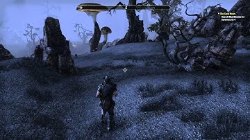 Elder Scrolls Online Bug - Nothing appearing in World
