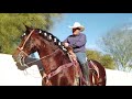 Como enseñar a un Caballo a Caminar hacia atrás o Cejar - Caballos del Colorado