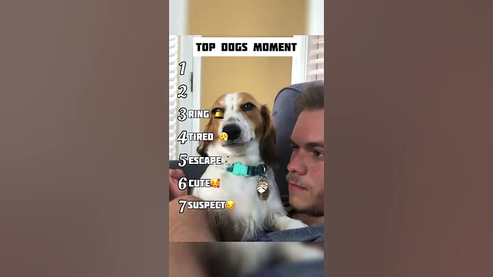 Only 1% Can Watch This Without Laughing 😂 #shorts” #comedy #dailyshorts #funny