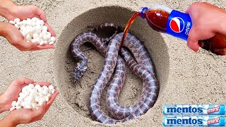 Coca Cola, Different Fanta, Mtn Dew, Pepsi, Sprite and snake vs Mentos in Big Underground