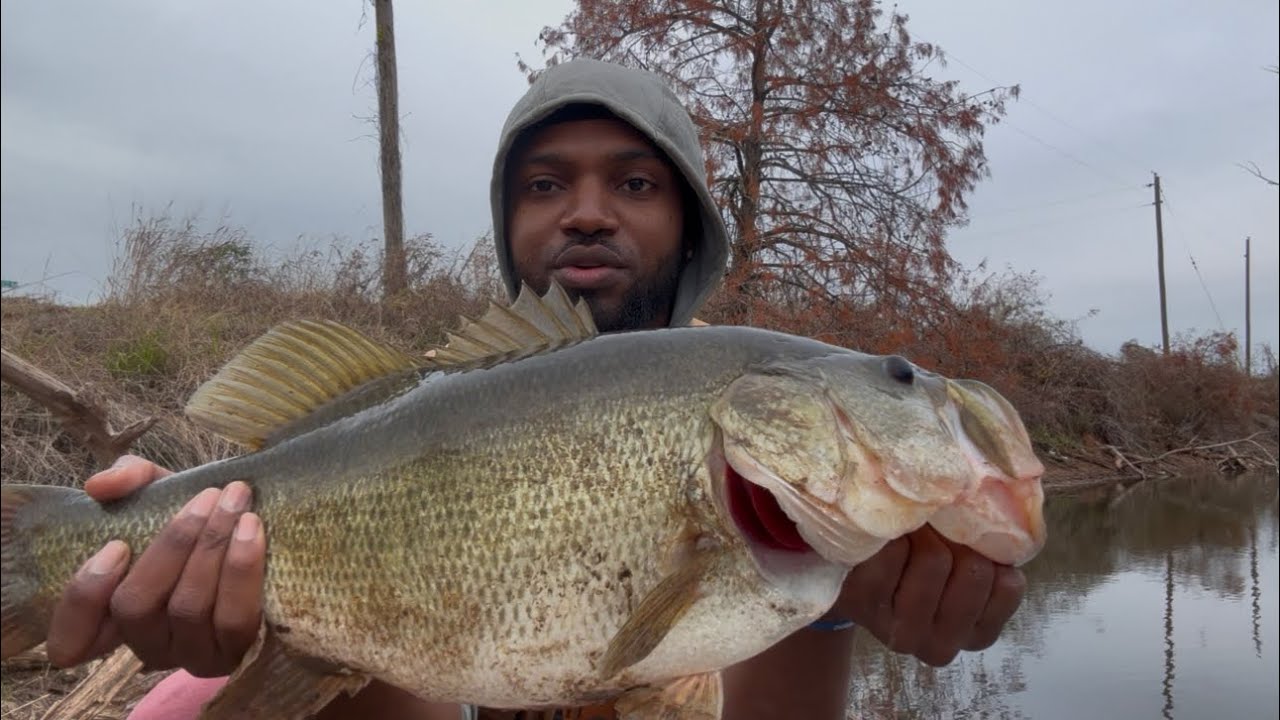 Winter bass fishing can be insane! Here’s how ! #fish #fishing #bassfishing #fishingvideo #winter