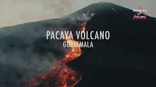 Pacaya volcano #aventurevolcans #volcano #volcan #shortsvideo #Pacaya #guatemala #aventure #voyage