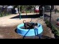 Innovative Dog Training & Education with Southampton Animal Shelter Foundation -Mikey playing ball Innovative Dog Training & Education with Southampton Animal Shelter Foundation -Mikey playing ball