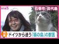 ドイツから猫の島に通う獣医師　猫の診察のみならず島民との触れ合いも　宮城・田代島