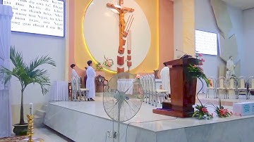 Phần mở đầu Thánh Lễ Tiệc Ly 2017 -  Lễ Thiếu Nhi do Cha Giuse Đỗ Đức Hạnh chủ sự tại GX Tân Việt