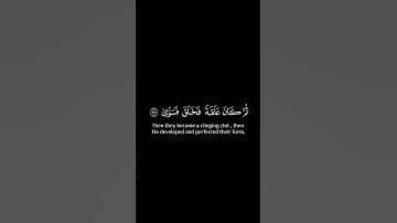 أَيَحسَبُ الإِنسانُ أَن يُترَكَ سُدًى || كروما قران كريم شاشة سوداء || جابر القيطان