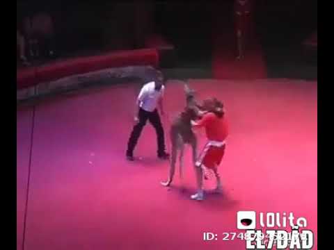 هتموت من الضحك اسيبه قمت مديله