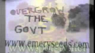 Grow Show #11 (4of4)
