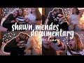 SHAWN MENDES FANS REACT TO SHAWN MENDES DOCUMENTARY