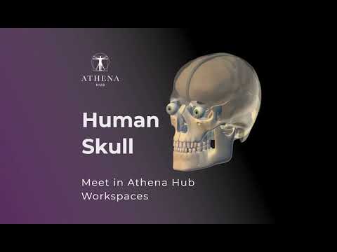 Video: Werkt een beschermend item als het met een schedel wordt bedekt?