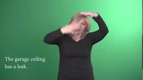 Sign Language - Level 2: Classifier predicates showing manner of flow