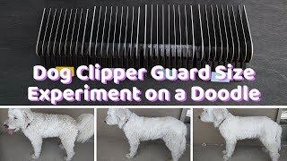 guide combs for dog clippers