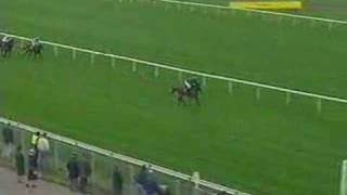 Seagram Top Novices Hurdle (end)