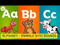 Learn abc alphabet with animals and sounds for kidstamilarasi english