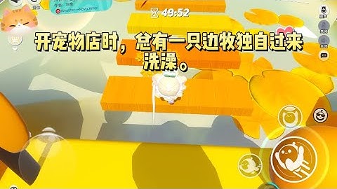 开宠物店时，总有一只边牧独自过来洗澡。我以为它是流浪狗，准备给它发布寻主启事。这时眼前飘来一片弹幕#一口气看完 #小说 #故事