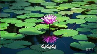 Download lagu 周深新歌《曼陀》 1 hour repeat 一小时循环 with Chinese, Pinyin and English Lyrics