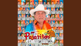 Video thumbnail of "Los Pajaritos de Tacupa - La Basurita"