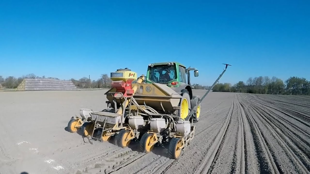 Siew kukurydzy - kolekcja odmian Syngenta 2019