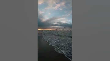 Thumbnail of Ali Saber•Maaqoula
