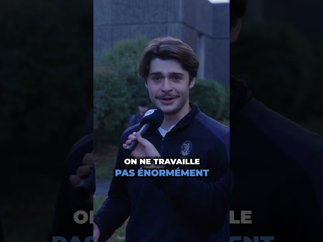 Les clichés sur les écoles de commerce 😱