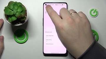 How to Check the Mobile Data Usage on the OPPO Find X2 Neo