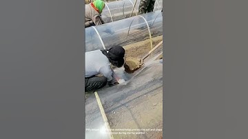 Brilliant Farming Hack: Securing Fields Against Storms!