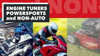 NGK Spark Plugs - What's in our Box