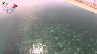جزيرة كبر - الكويت Kubbar island Kuwait 2015-5-13