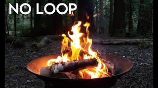 🔥Fireplace No Loop. Live for 2hours. Relaxing Campfire Burning Sounds. For Sleep, Study  [4K]