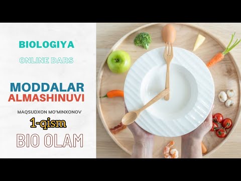 Video: Katabolik yollar reduktivdirmi?