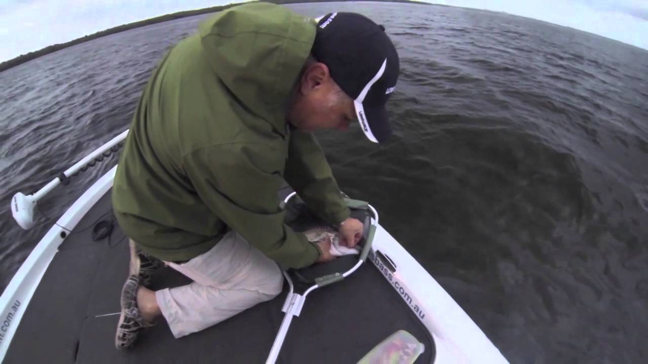 Botany Bream fishing YouTube